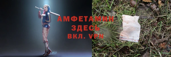 ALPHA PVP Бородино