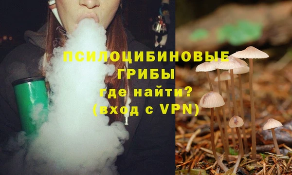 ГАЛЛЮЦИНОГЕННЫЕ ГРИБЫ Бронницы